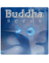 Buddha Seeds