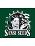 Sensi Seeds