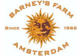 Barneys Farm: Un Viaggio dalle Origini alle Innovazioni di Oggi