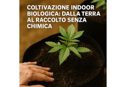Coltivazione indoor biologica: dalla terra al raccolto senza chimica