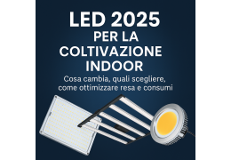 LED 2025 per la coltivazione indoor: cosa cambia, quali scegliere, come ottimizzare resa e consumi