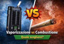 Vaporizzazione vs Combustione: differenze, vantaggi e quale scegliere