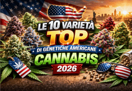 Le 10 Varietà Top di Genetiche Americane Cannabis 2026